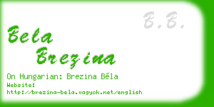 bela brezina business card